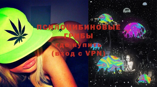 прущие грибы Абаза