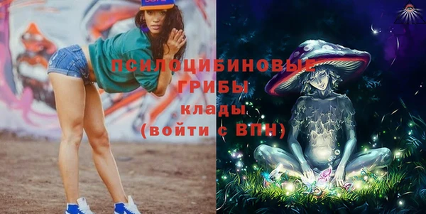 герыч Алексин