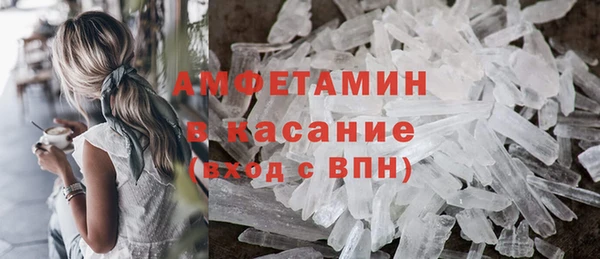 прущие грибы Абаза