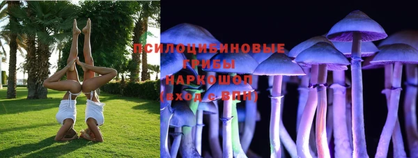 стафф Абдулино
