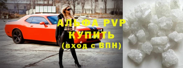 прущие грибы Абаза