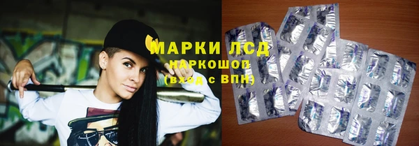 прущие грибы Абаза