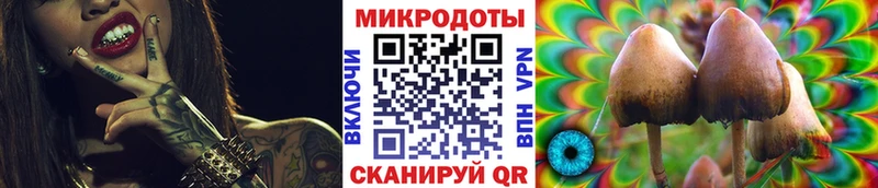 мега tor  продажа наркотиков  Мегион  Галлюциногенные грибы мухоморы 